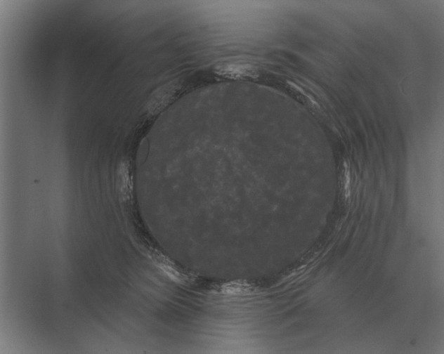 X0000074010420200609181839