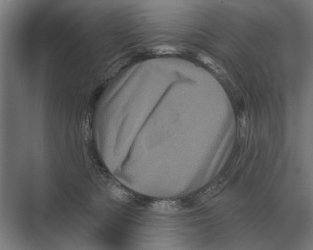 X0000074010422200609181839