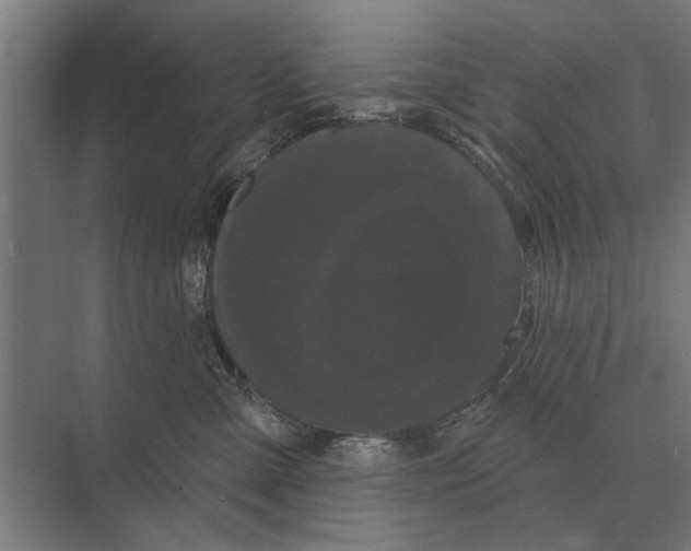 X0000074010427200609181839