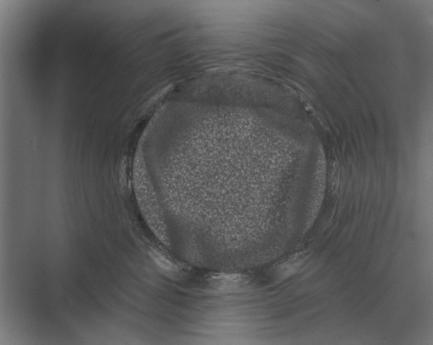 X0000074010428200609181839