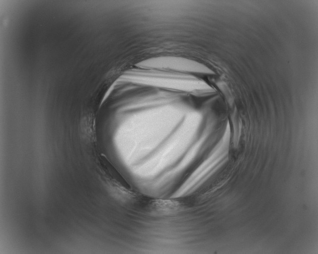 X0000074010429200609181839