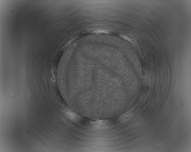 X0000074010430200609181839