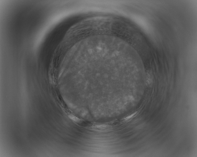 X0000074010431200609181839