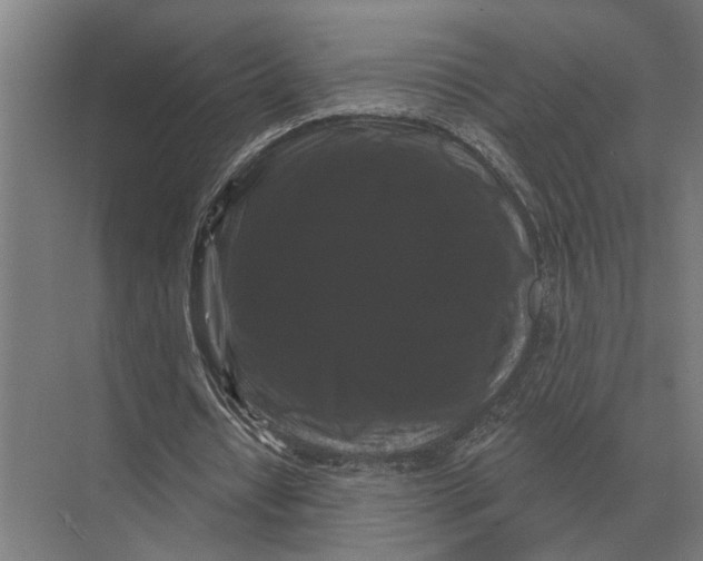 X0000074010434200609181838