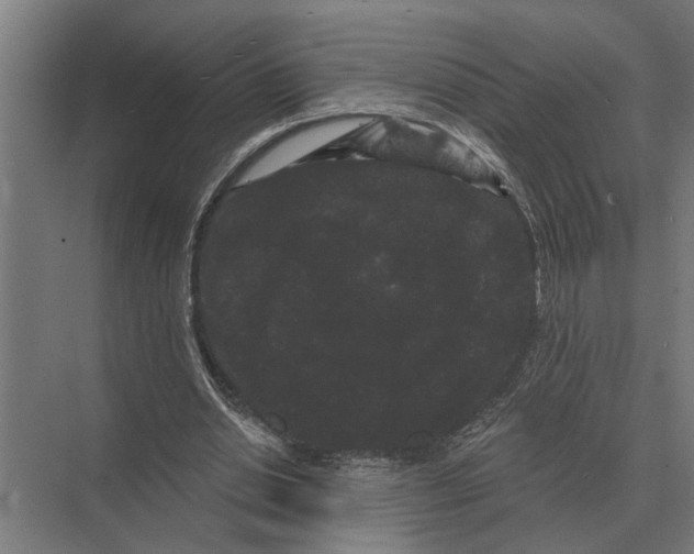 X0000074010438200609181838