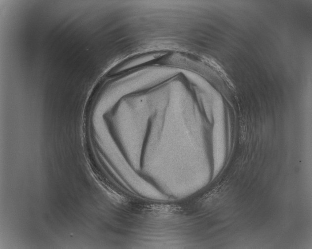 X0000074010439200609181838