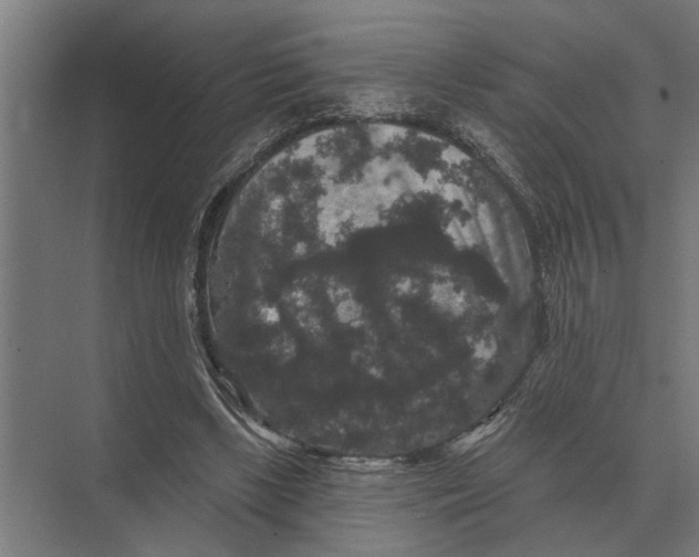 X0000074010443200609181838