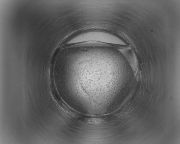 X0000074010444200609181838