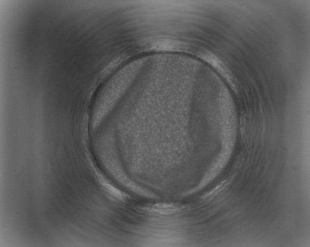 X0000074010445200609181838