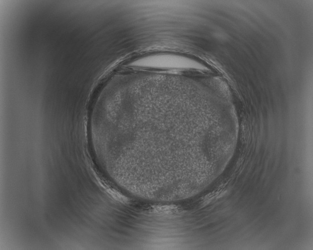 X0000074010446200609181838