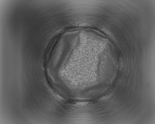 X0000074010450200609181838