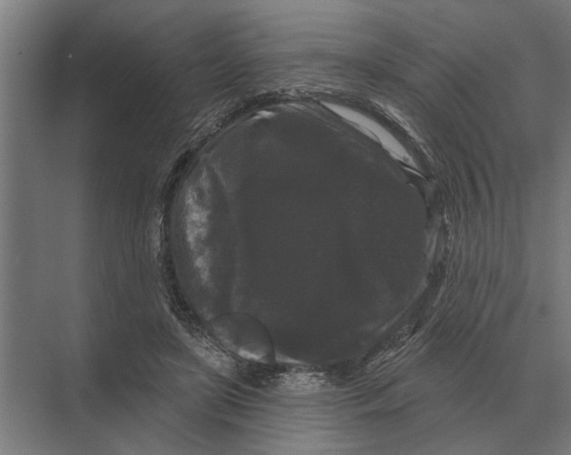 X0000074010451200609181838