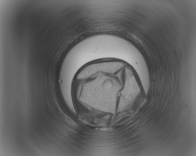 X0000074010452200609181838