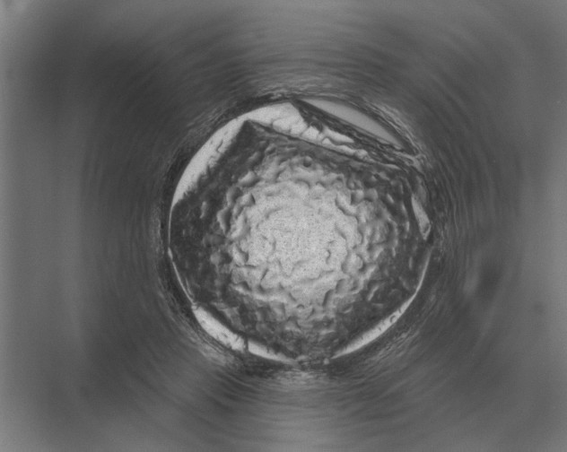 X0000074010453200609181838