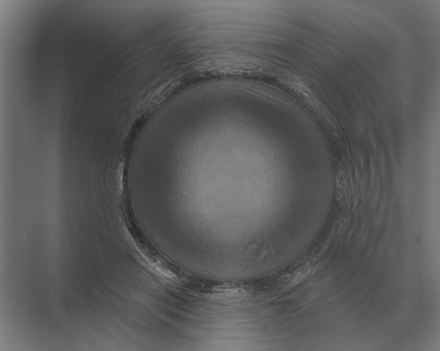 X0000074010454200609181838