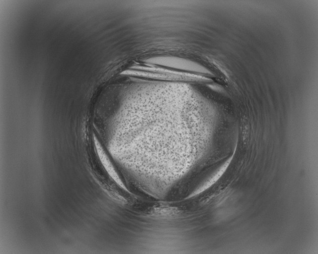 X0000074010455200609181838