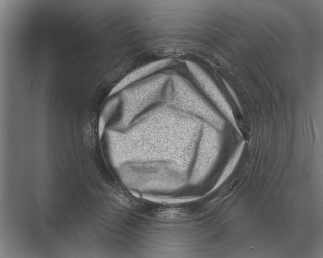 X0000074010460200609181839