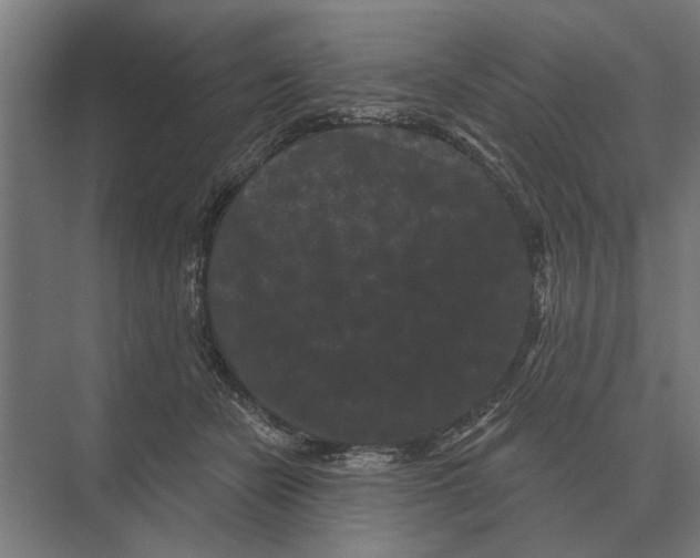 X0000074010462200609181839