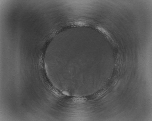 X0000074010465200609181839