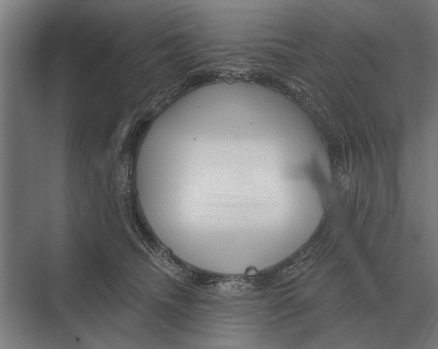 X0000074010468200609181839