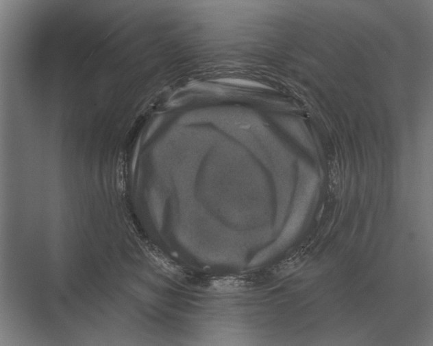 X0000074010470200609181839