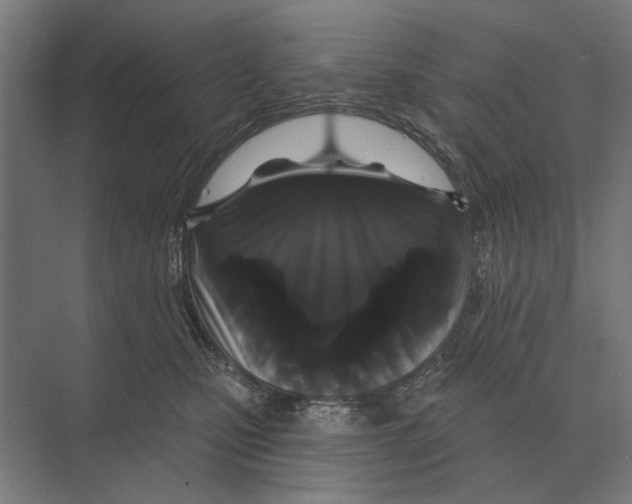 X0000074010471200609181839