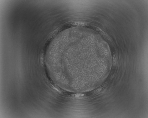 X0000074010474200609181839