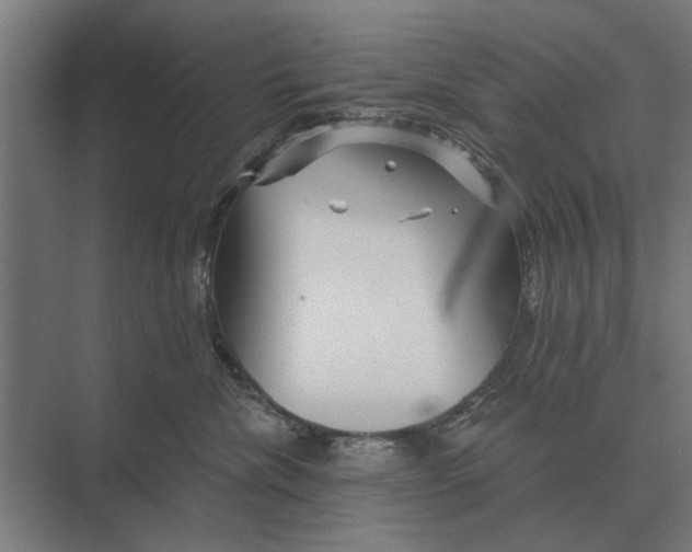 X0000074010476200609181839