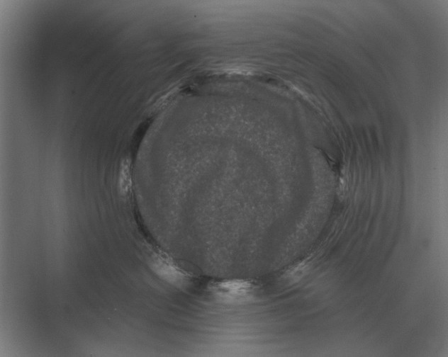 X0000074010478200609181839