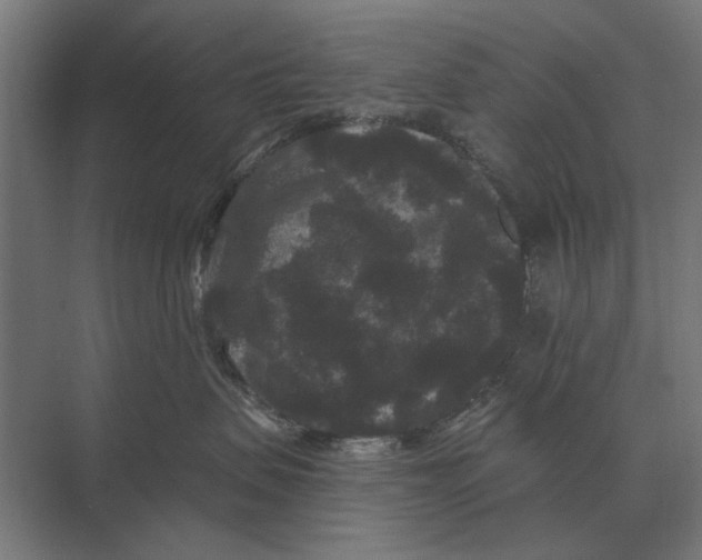 X0000074010479200609181839