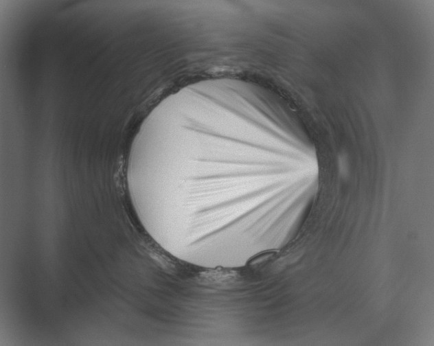 X0000074010480200609181839