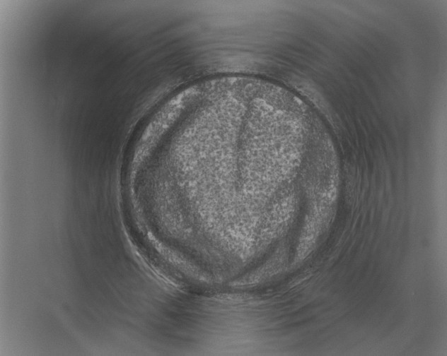 X0000074010482200609181838