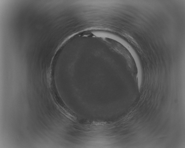 X0000074010484200609181838