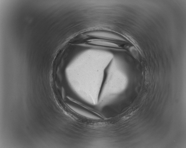 X0000074010485200609181838