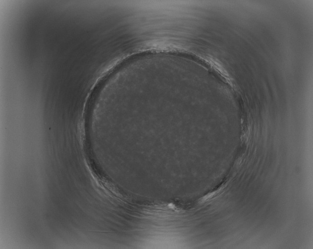 X0000074010488200609181838