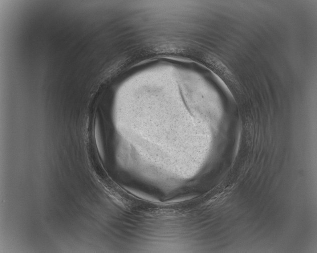 X0000074010490200609181838