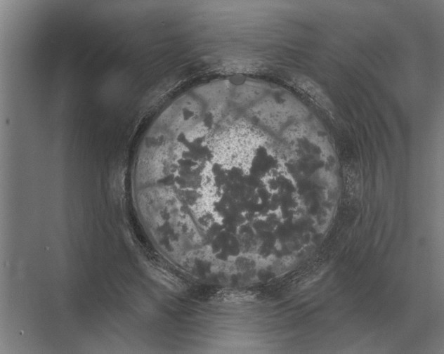 X0000074010491200609181838