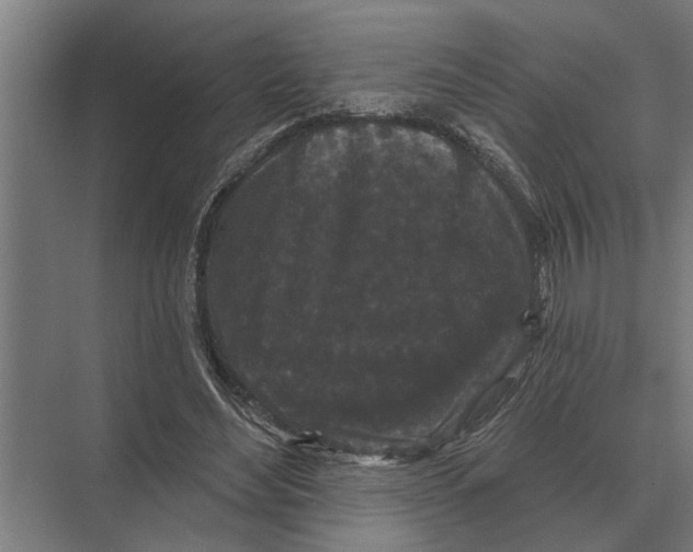 X0000074010492200609181838