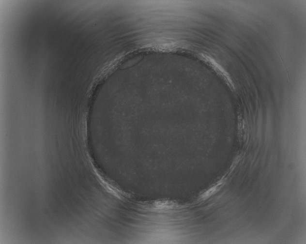 X0000074010493200609181838