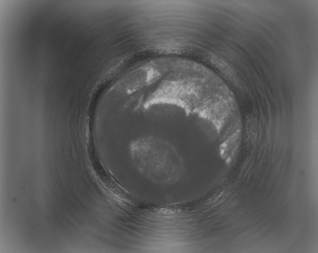 X0000074010494200609181838