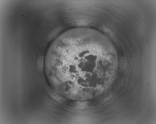 X0000074010495200609181838