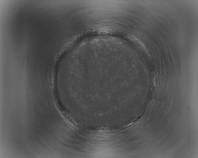 X0000074010496200609181838