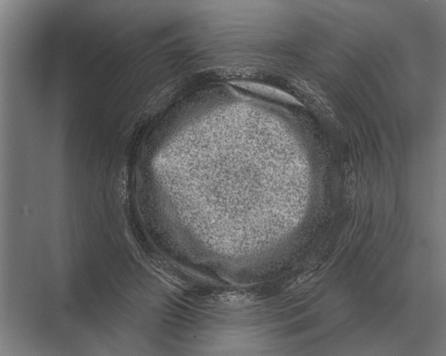 X0000074010498200609181838