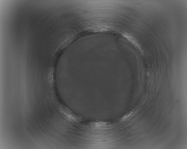 X0000074010501200609181838