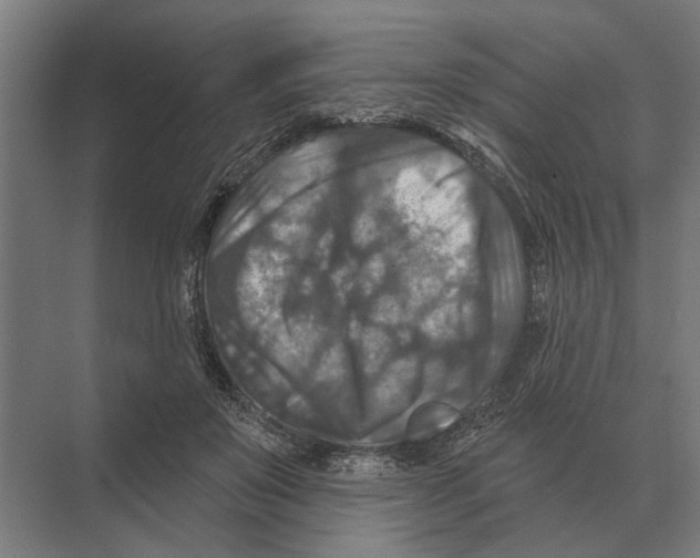 X0000074010503200609181838