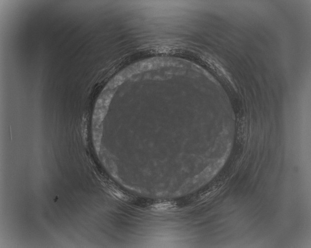 X0000074010505200609181838