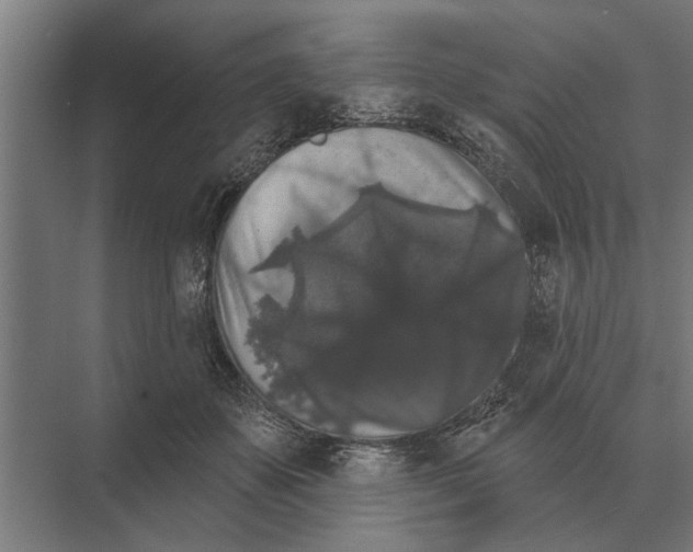 X0000074010507200609181838