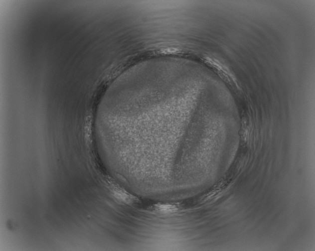 X0000074010509200609181838