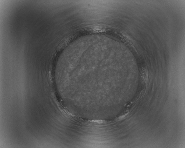 X0000074010512200609181838