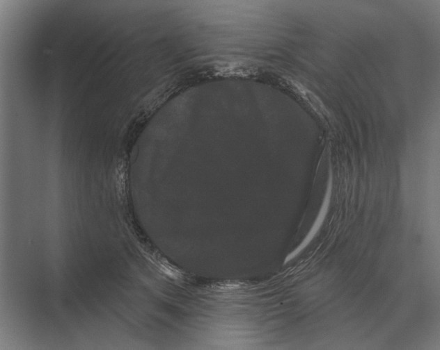 X0000074010513200609181837